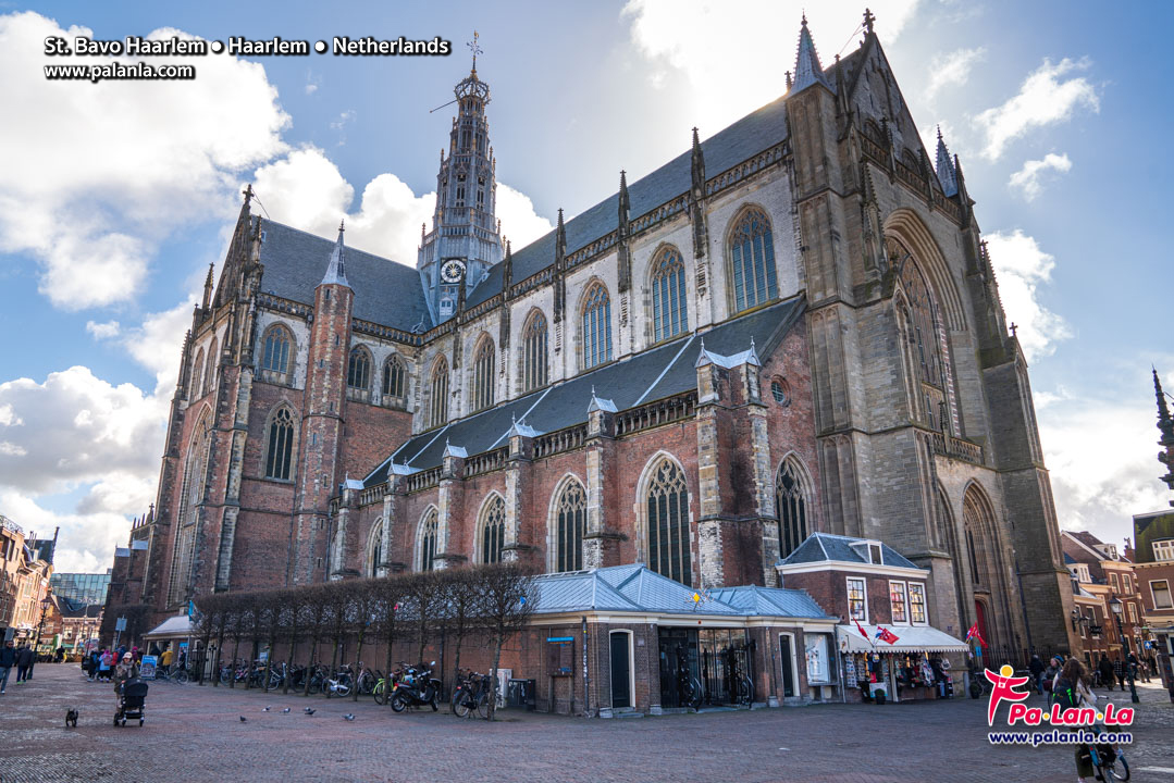 St. Bavo Haarlem